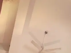 Amateur Best Webcam of ParisGrayy