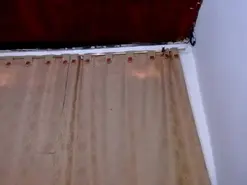 Amateur Private Sex Chat of Candy_Kruhs