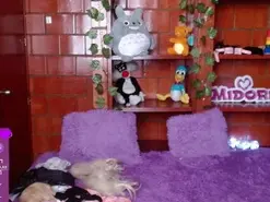 Amateur Live Sex of MidoriQuinn