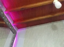 Amateur Sex Chat of PaulinaFogoza