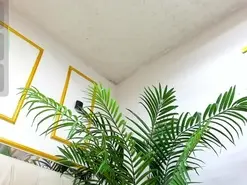 Amateur Adult Webcam of Celeste_cortes