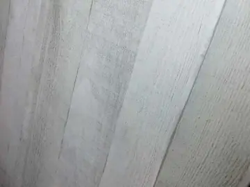 Bongacams Free Live Porn of Asiankitties
