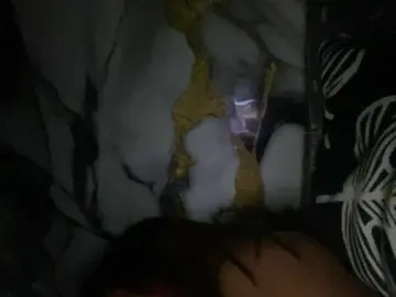 Bongacams Live Porn of Asiankitties