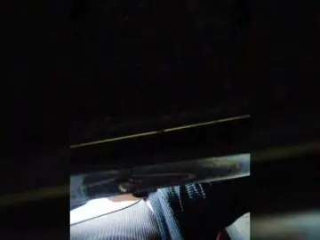 Bongacams Free Porn Cam of XXhornywetprincess99XX
