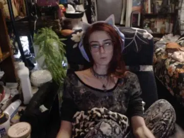 Bongacams Best Webcam of pussyxpaladin