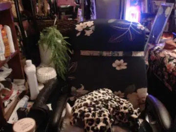 Bongacams Watch Live Sex Cams of pussyxpaladin