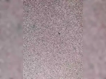 Bongacams Nude Webcam of MissPinkX