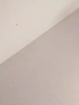 Cam4 Free Porn Cam of lilitt777