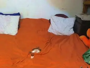 Cam4 Watch Live Sex Cams of Monikan
