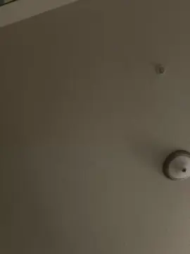 Cam4 Best Webcam of bubblegumpussy2