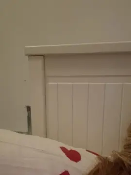 Cam4 Sex Chat of jenny38