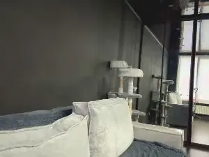 Cam4 Sex Chat of SierraSmelcer
