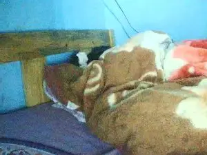 Cam4 Nude Webcam of Nataach29