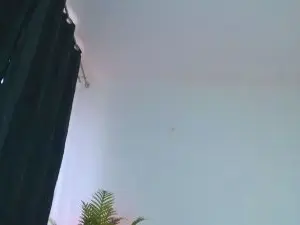 Cam4 Adult Webcam of Slut_tattoogirl