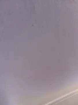 Cam4 Live Sex Cam of Monit4