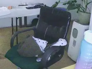 Cam4 Nude Webcam of FelinaMza