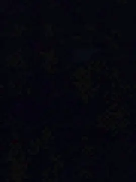Cam4 Live Sex of Psicochika