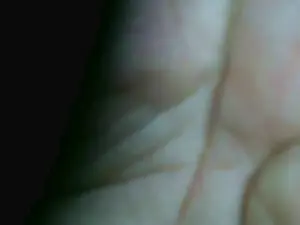 Cam4 Adult Video Chat of AMFScp0705