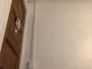 Cam4 Live Sex of Javierapalacios