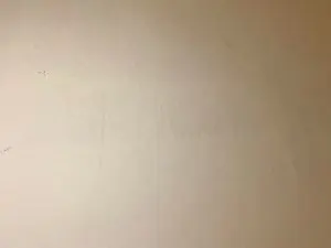 Cam4 Free Porn Cam of Javierapalacios