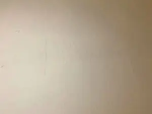 Cam4 Sex Cam of Javierapalacios