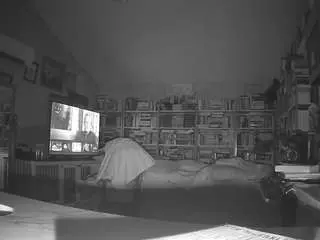 Camsoda Adult Video Chat of voyeurcam-bridgetleewalters-02