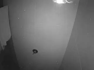 Camsoda Adult Video Chat of voyeurcam-casa-salsa-bathroom-11