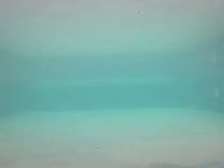 Camsoda Sex Cam of voyeurcam-casa-salsa-pool-1