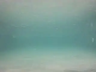 Camsoda Best Webcam of voyeurcam-casa-salsa-pool-1