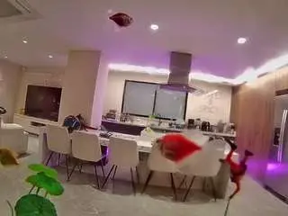 Camsoda Free Porn Cam of voyeurcam-casa-salsa-fishtank
