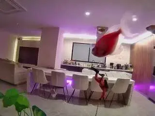 Camsoda Sex Cam of voyeurcam-casa-salsa-fishtank