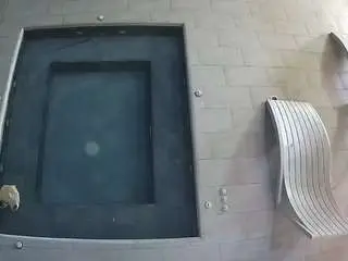 Camsoda Free Live Porn of voyeurcam-casa-salsa-hottub-view