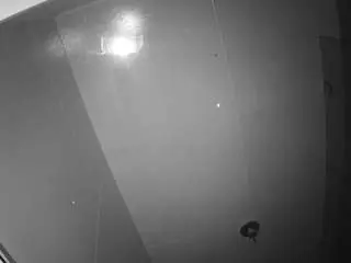 Camsoda Adult Webcam of voyeurcam-casa-salsa-bathroom-10
