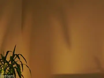 Chaturbate Adult Webcam of ms_seductive