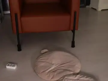 Chaturbate Sex Cam of seeunexttime