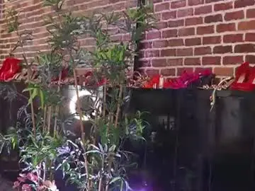 Chaturbate Live Sex Cam of helenceccile