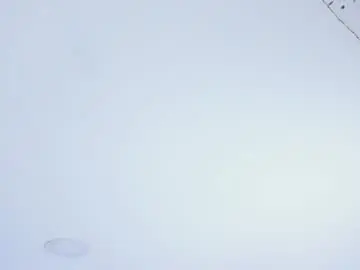 Chaturbate Best Webcam of susan_blond