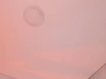 Chaturbate Live Porn of hade_cute2