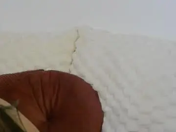 Chaturbate Live Sex of madisondesire
