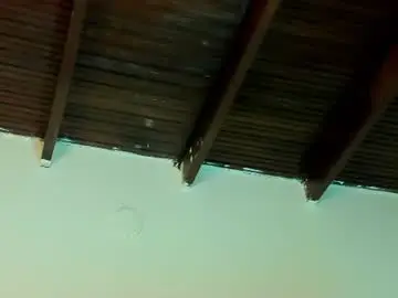 Chaturbate Live Porn of sofia_kay_