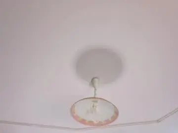 Chaturbate Adult Webcam of bridgetbottrell