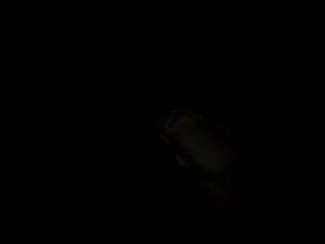 Chaturbate Private Sex Chat of ivybooty206