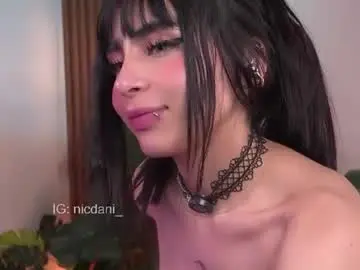 Chaturbate Adult Webcams of nicdani_1