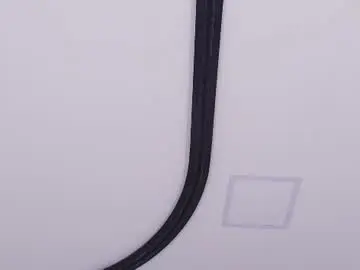 Chaturbate Live Sex of dominoo_