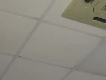 Chaturbate Private Sex Chat of sharon_coxxx