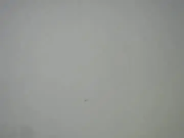 Chaturbate Free Live Porn of sweet_pussy04