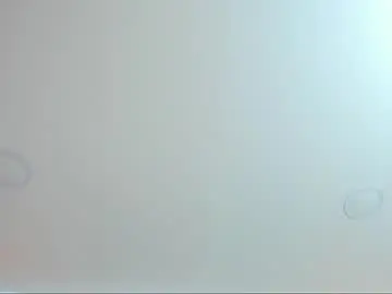 Chaturbate Nude Webcam of antonella_west