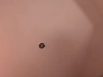 Chaturbate Private Sex Chat of emily_____