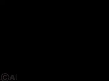 Chaturbate Adult Video Chat of barbara_rogers