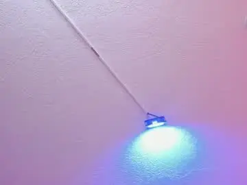 Chaturbate Best live sex cam show of conny_madson